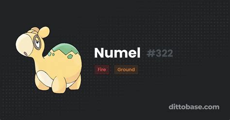 numel type